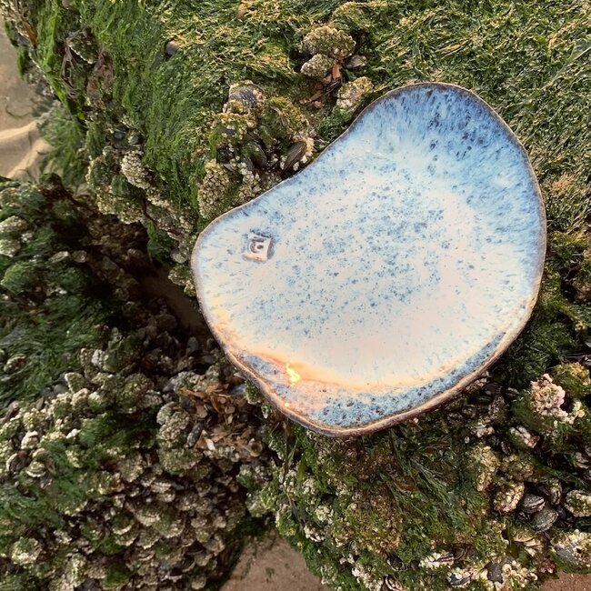 Handmade ceramic plate Coquillage, Beach