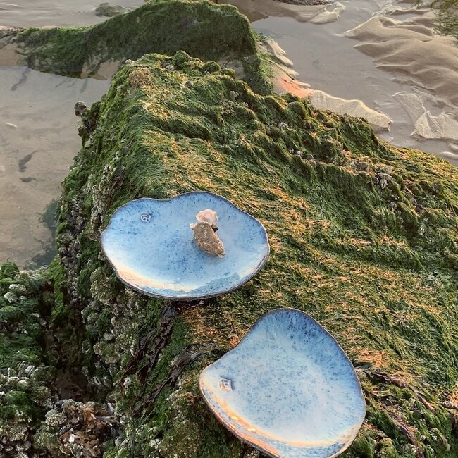 This unique shell-shaped plate has a functional medium-sized presentation bottom and very original in presentation for the chef