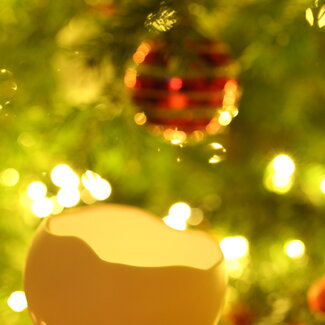 artisann Tealight "Globe"