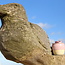 Sugar bowl "Rose" handmade in spots clay with a uniquely designed Artisann