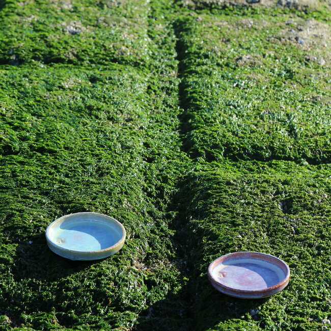 Little scale Crème Brûlée "Sunrise" handmade ceramic with raised edge