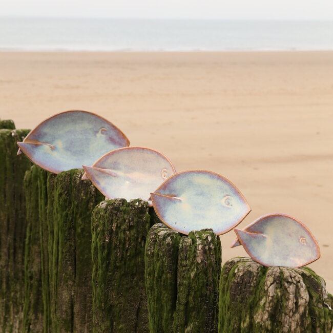 Plat creuse magenta en forme de poisson. Plat original pour apéritifs, sushis, fromages et biscuits ...