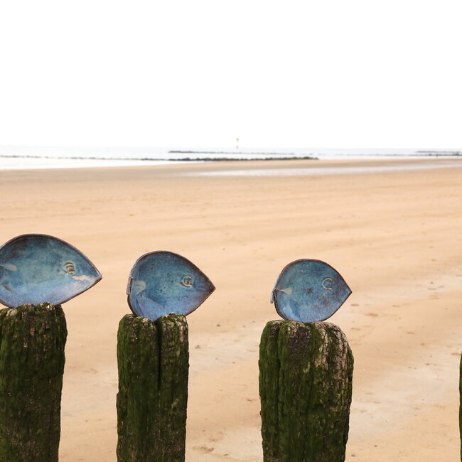 Handmade ceramic fish scale, Beach