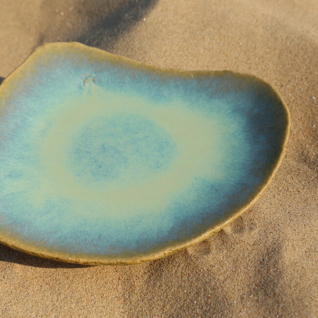 This unique shell-shaped plate has a functional medium-sized presentation bottom and very original in presentation for the chef