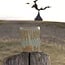 Unicum - Un vase menthe ou un pot à cuillère en céramique fait à la main et fini avec la technique de sculpture