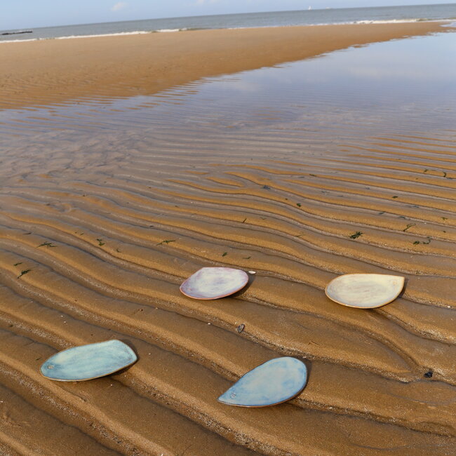 Handgemaakte borden geïnspireerd naar de mooie schelpen van onze Belgische kust "Inspired by the Sea"