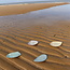 Handmade plates inspired by the beautiful shells of our Belgian coast "Inspired by the Sea"