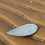 A unique set of handmade plates inspired by the beautiful shells of our Belgian coast "Inspired by the Sea"