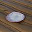 A unique set of handmade plates inspired by the beautiful shells of our Belgian coast "Inspired by the Sea"