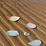 Un set d'assiettes artisanale unique inspiré par les magnifiques coquillages de notre côte belge. "Inspired by the Sea"