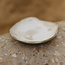 Scale "Italian White" used for snacks, but also very nice as a saucer of a coffee cup or mug.