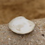 Scale "Italian White" used for snacks, but also very nice as a saucer of a coffee cup or mug.