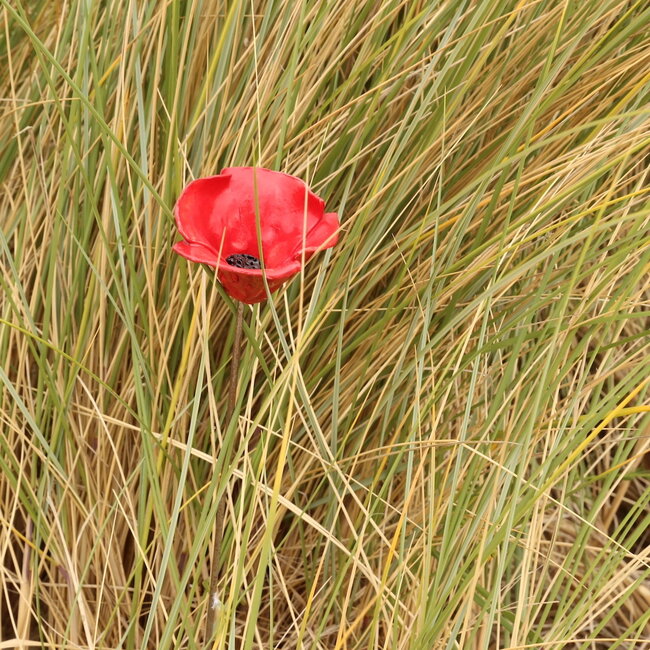 Coquelicot en porcelaine unique fait à la main, émaillé rouge