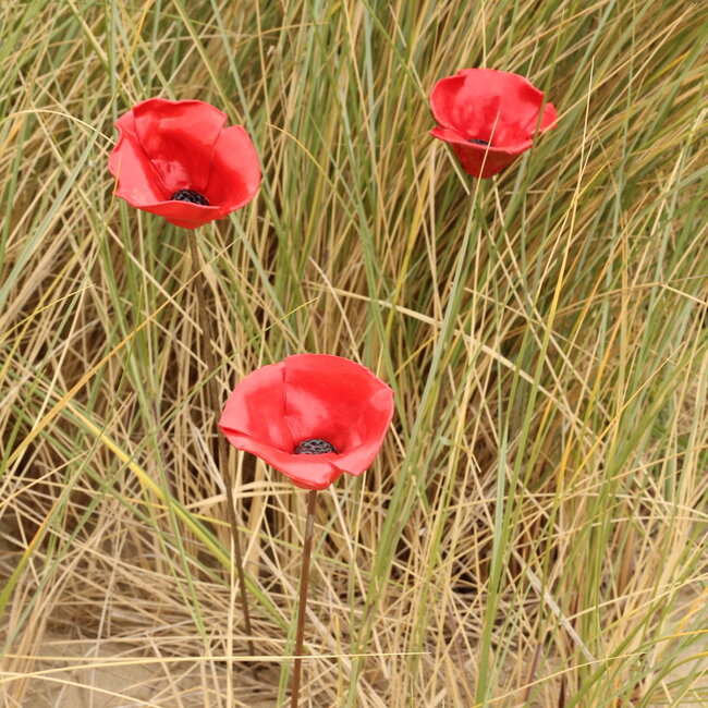 Handgemaakte porseleinen klaproos, rood