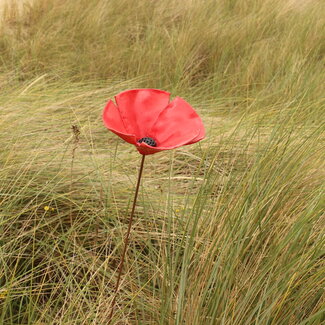 LS-design Red poppy Flower in porcelain