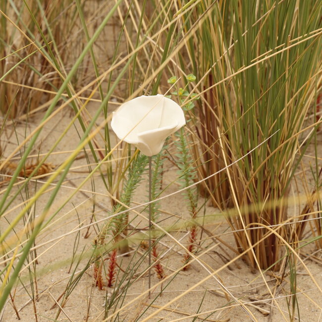 Cadeaupakket: 2 rode en 1 witte Klaproos Small