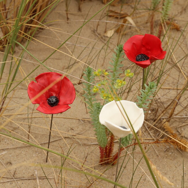 Paquet de cadeau: 2 coquelicot rouge et 1 coquelicot blanche Small