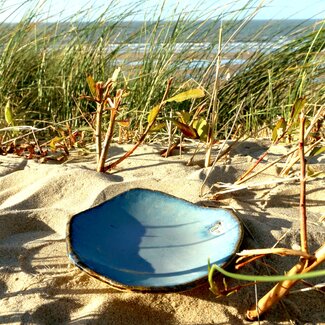 artisanni Schoteltje, Coquillage Beach