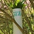 Vase personalized