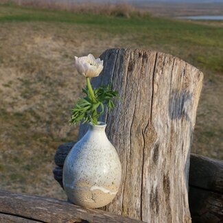 artisann Petite vase  One Flower Blanche