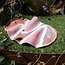 Wavy handmade ceramic tapas plate, Sunrise-Pink