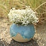 Ceramic handmade bulb vase, Mint