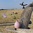 artisann Vaasje One Flower Roos