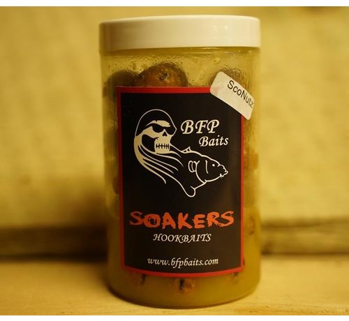 BFP Baits Soakers ScoNutz