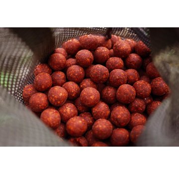 BFP Baits Najaarspakketten - Fish 'N Tutti