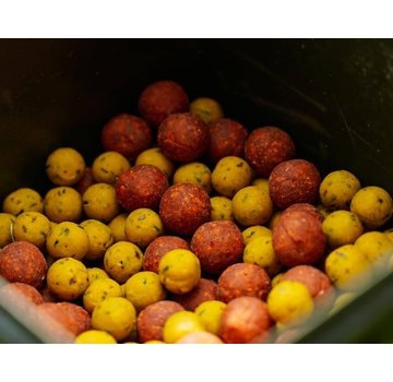 BFP Baits Voorjaarspakketten
