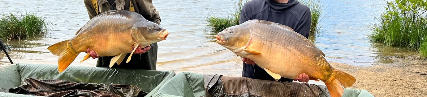 Droomsessie op Etang de Gaulois - Kees van Eenennaam