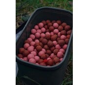 BFP Baits Actiepakket Pink Punch & Fish 'N Tutti