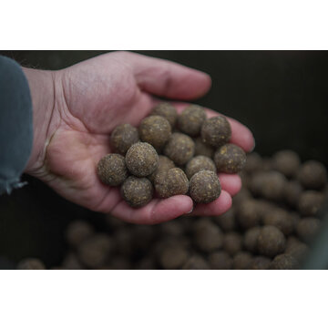 BFP Baits Fish X