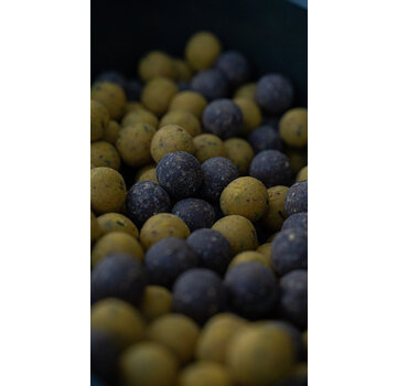 BFP Baits Actiepakket Sweet Temptation & Fish X