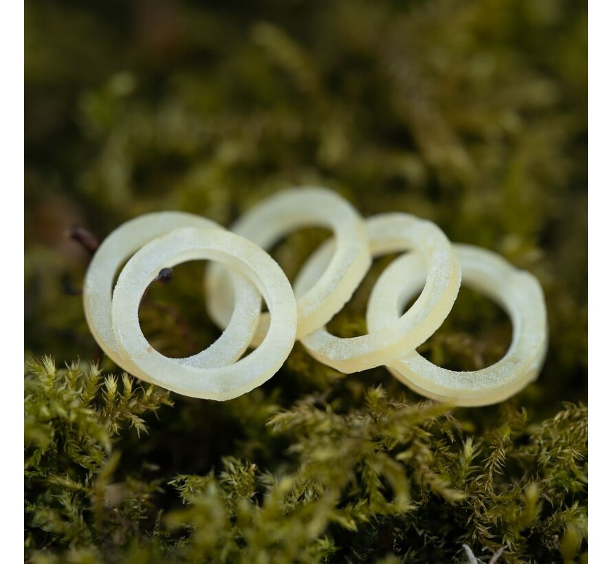 PB Products X-Strong Bait Bands