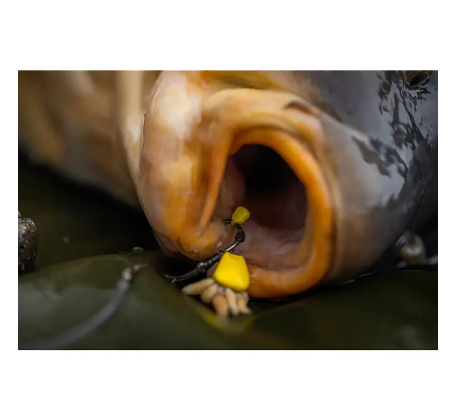 Pole Position Tungsta Corn Shot