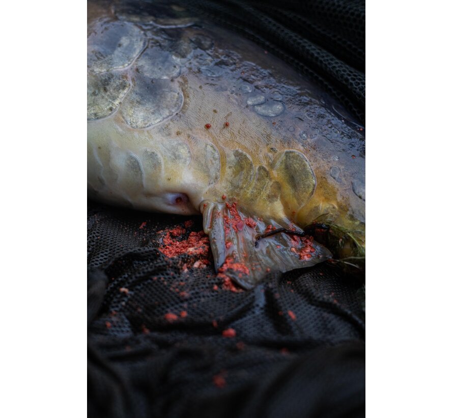 Intropakket Spicy Temptation (25% korting)