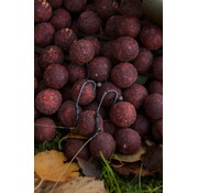 BFP Baits Intropakket Spicy Temptation (25% korting)