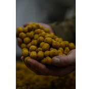 BFP Baits BFP Baits Dumbells 15x20mm