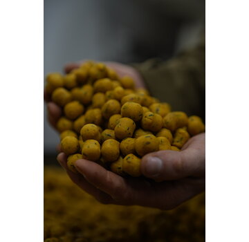 BFP Baits BFP Baits Limited Dumbells 15x20mm