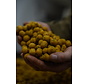BFP Baits Limited Dumbells 15x20mm