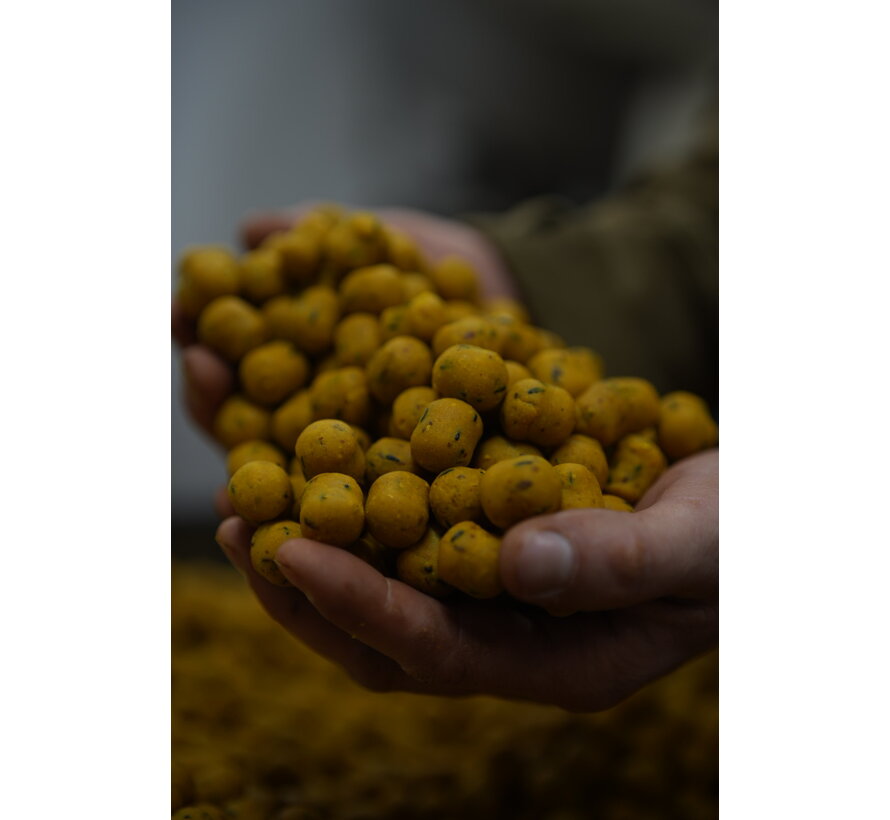 BFP Baits Dumbells 15x20mm