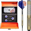 Target Lotki Soft Target Raymond van Barneveld Chrono 95%