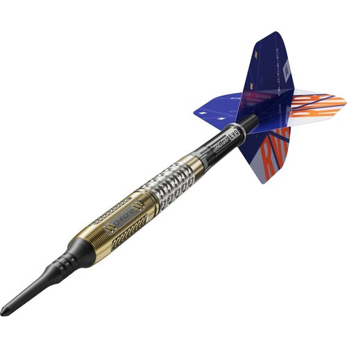 Target Lotki Soft Target Raymond van Barneveld Chrono 95%