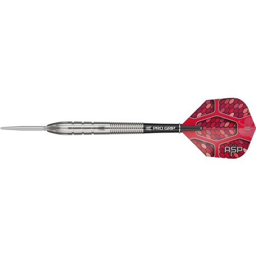 Target Lotki Target Nathan Aspinall G1 Swiss Point 90%