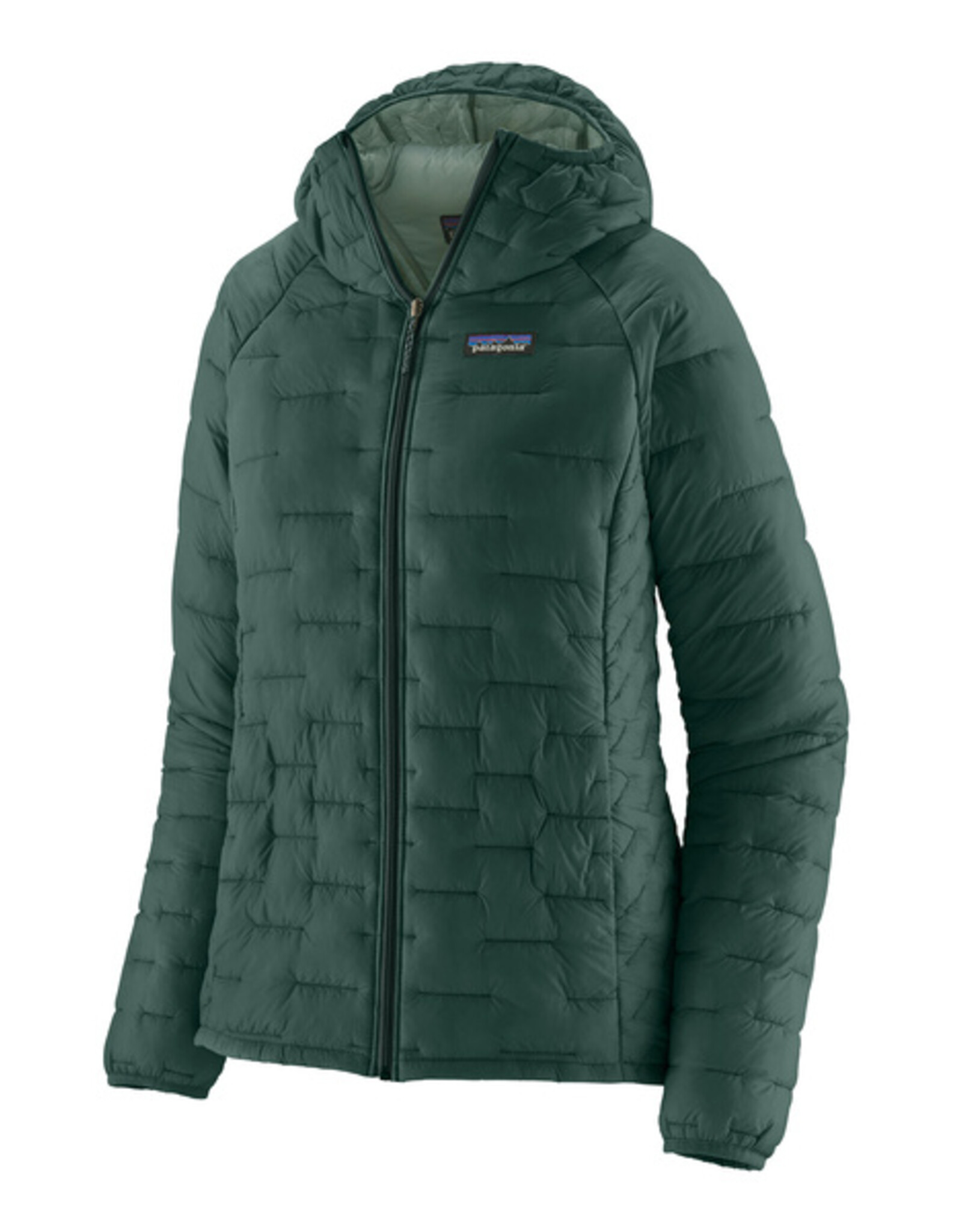 patagonia W's micro puff hoodie
