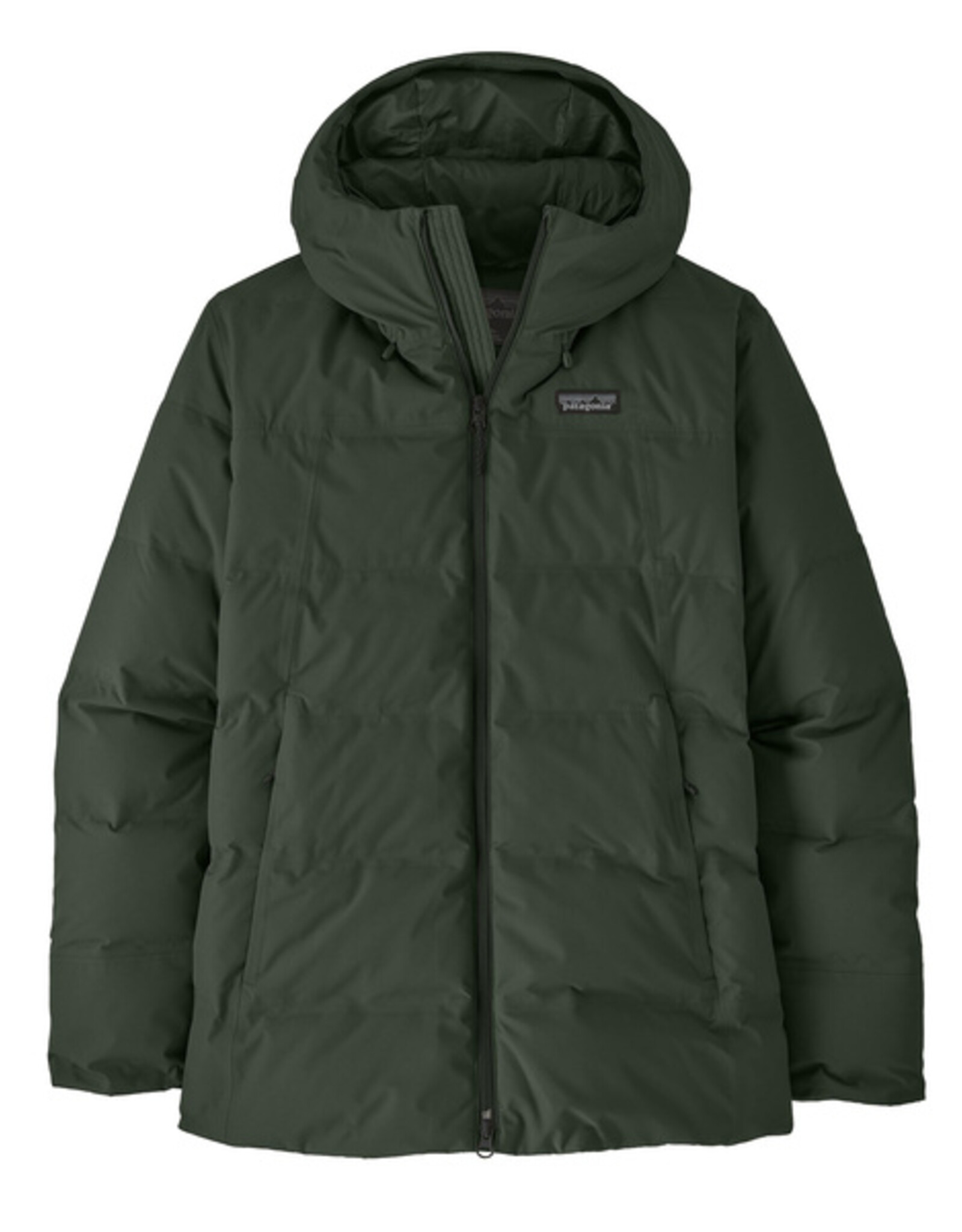 patagonia w's Jackson Glacier jkt