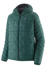 patagonia Micro Puff hoody