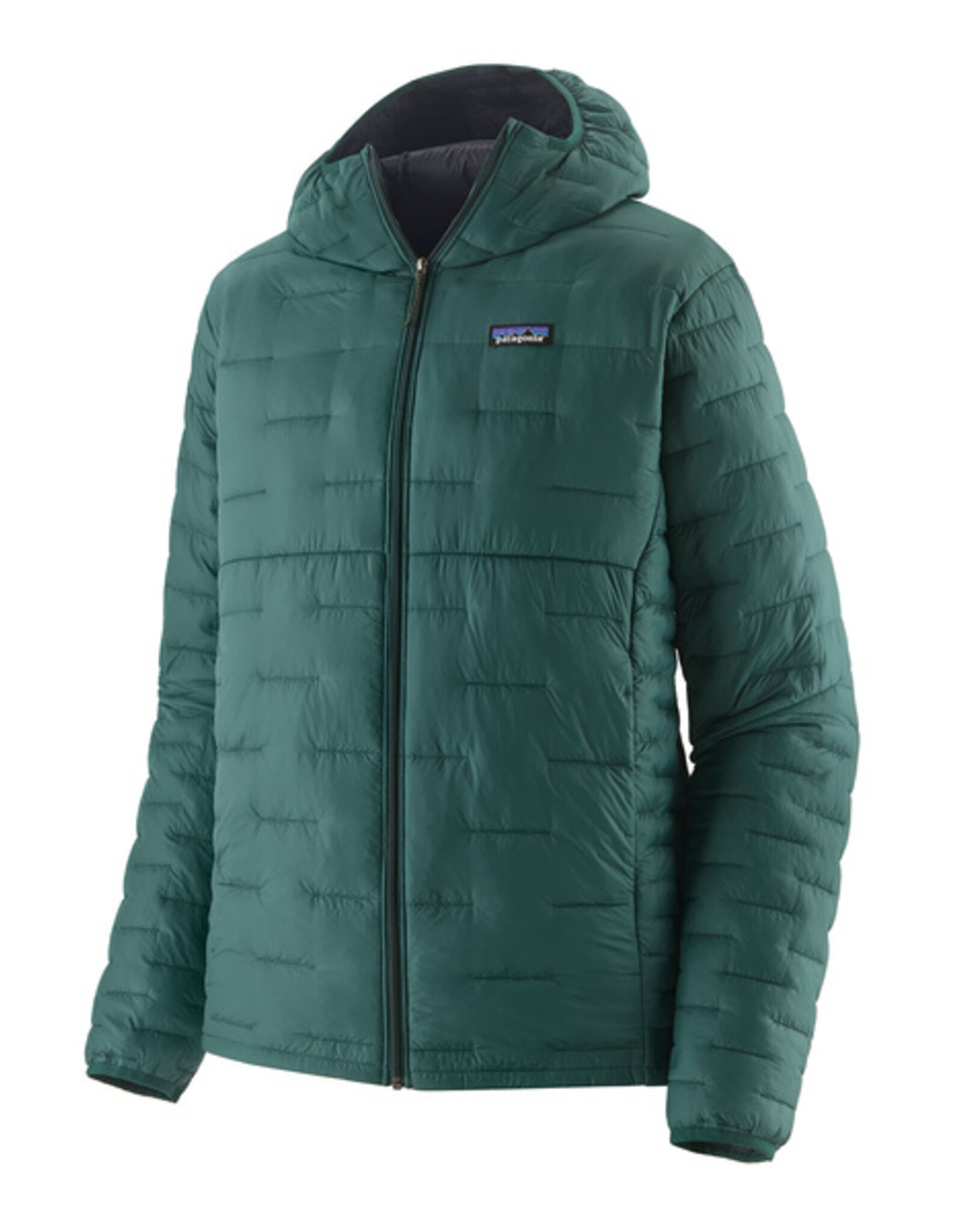 patagonia Micro Puff hoody