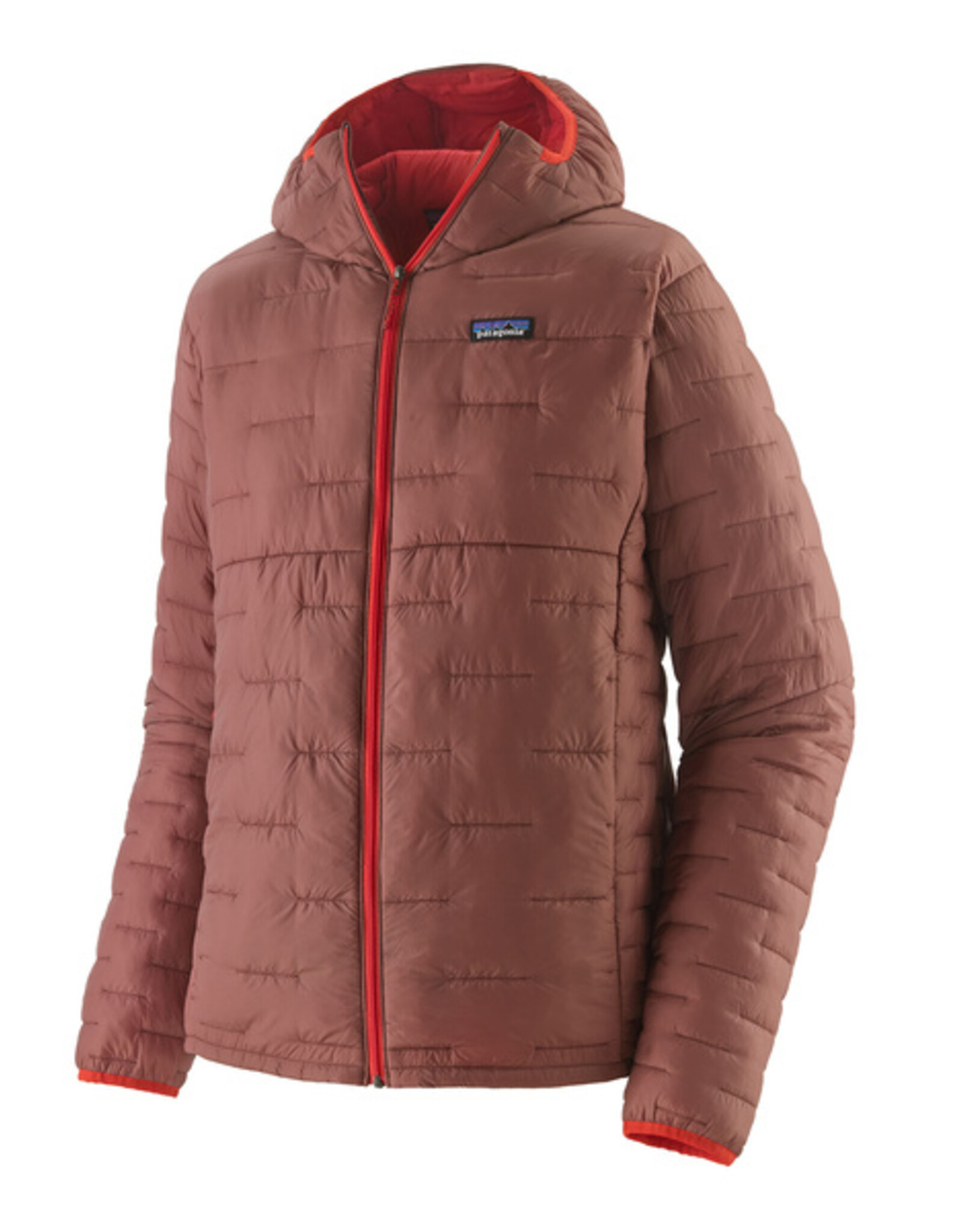 patagonia Micro Puff hoody